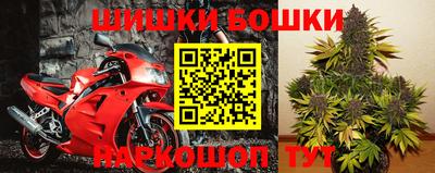 герыч Новодвинск